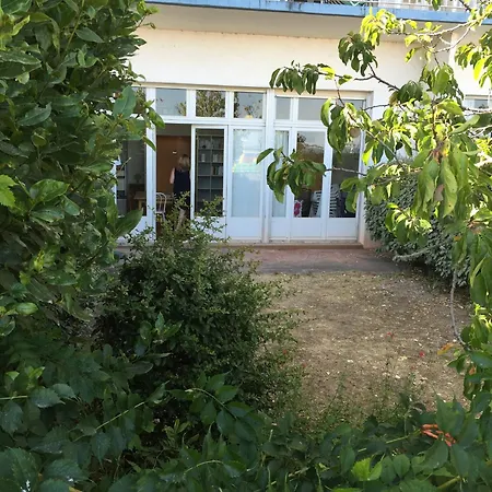 Apartment Bord De Avec Jardin Et Terrasse - - Fr-1-843-54